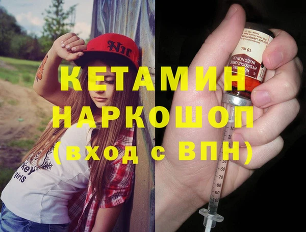 индика Богданович